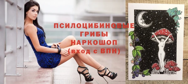 молекула духа Алзамай