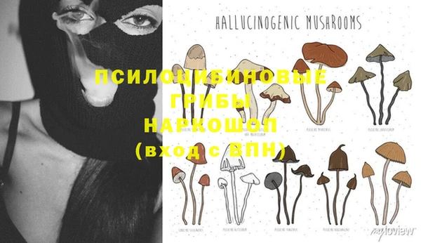 круглые Алексин
